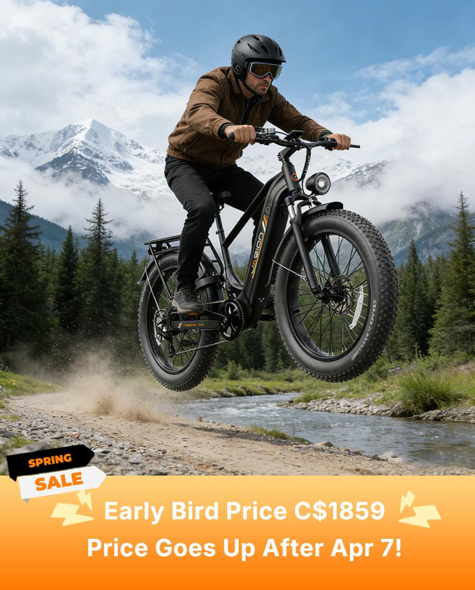 13_295103bb-a5f9-4b60-bb4d-aa0f00be3093