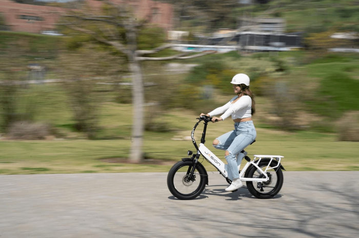 Full-suspension fat e-bike cover image