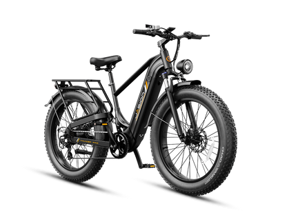 #color_Stealth Black